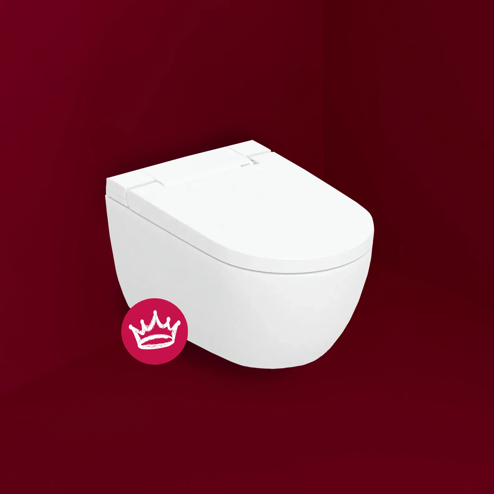 Geberit AquaClean Alba