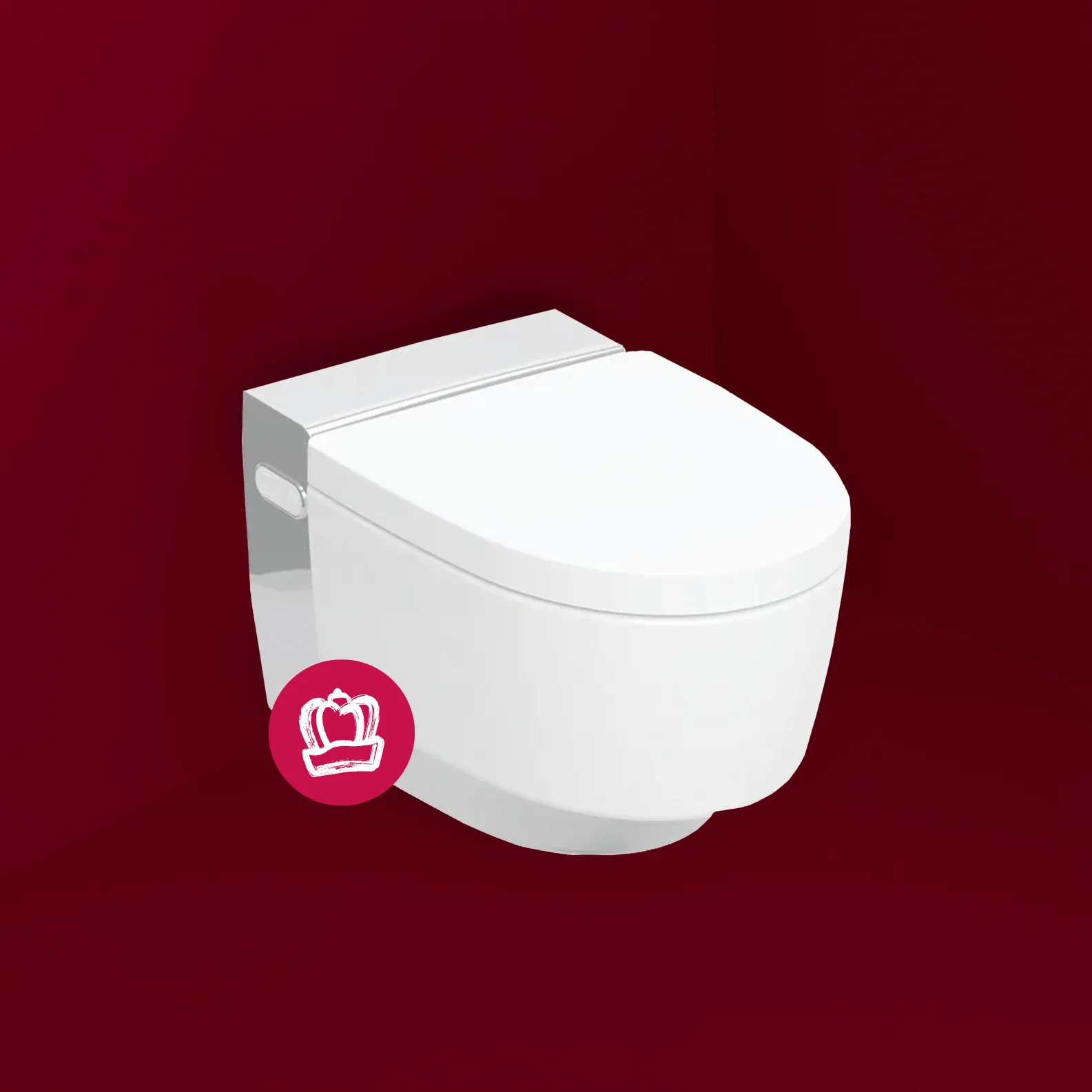 Geberit AquaClean Mera